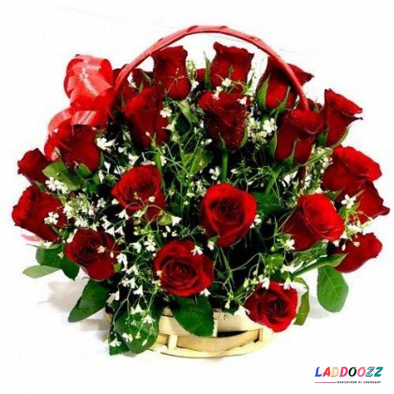 Handle Basket Arrangement of 25 Red Roses Fresh Flowers